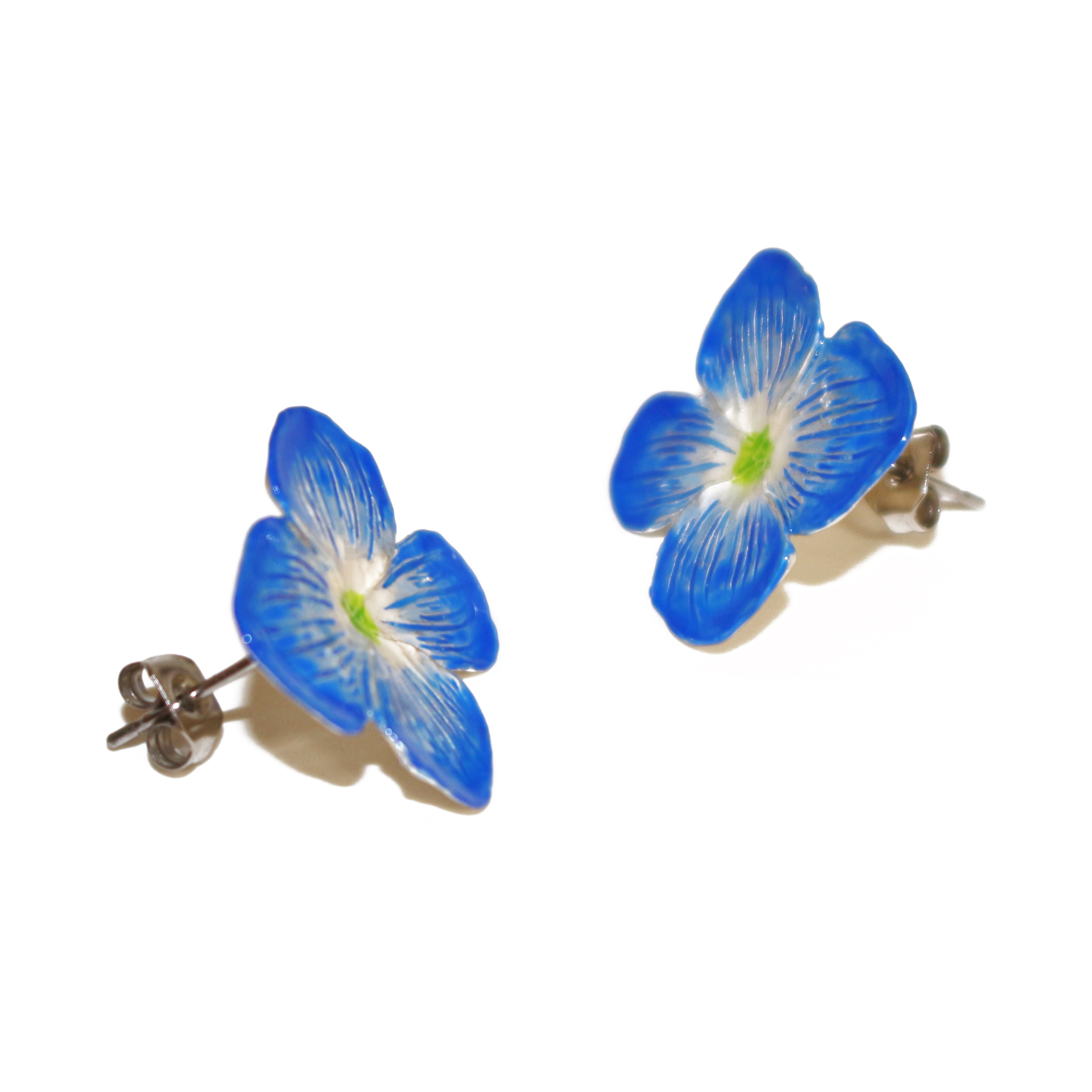 すべての花の画像 50 素晴らしいベロニカ オックスフォードブルー 花言葉